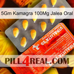 5Gm Kamagra 100Mg Oral Jelly new01